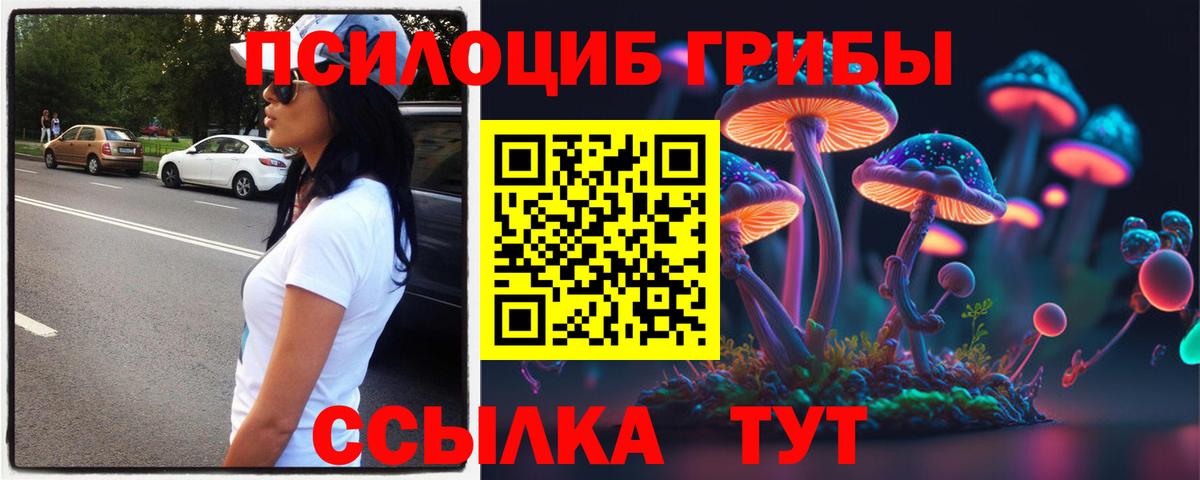Георгиевск  Галлюциногенные грибы GOLDEN TEACHER  Вход с VPN 